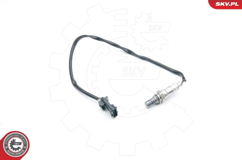 Oxygen Sensor